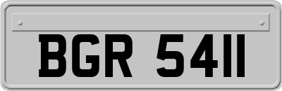 BGR5411
