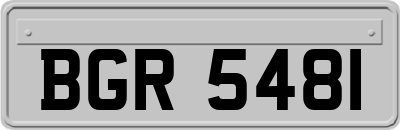 BGR5481