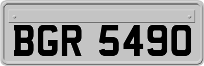 BGR5490