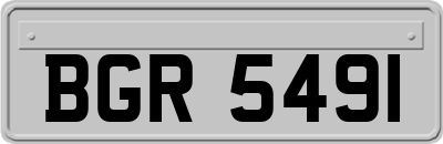 BGR5491
