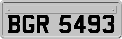 BGR5493