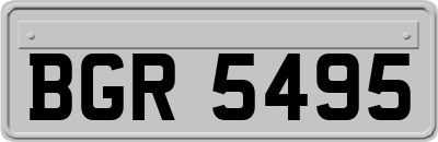 BGR5495