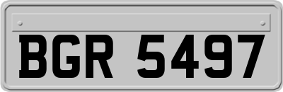 BGR5497