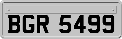 BGR5499