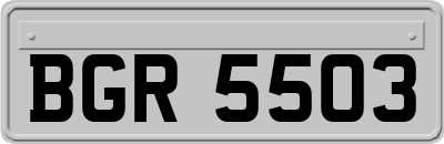 BGR5503