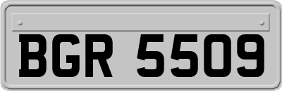 BGR5509