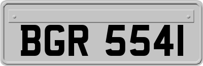BGR5541