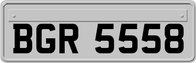 BGR5558