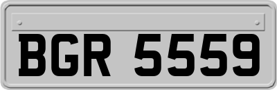 BGR5559