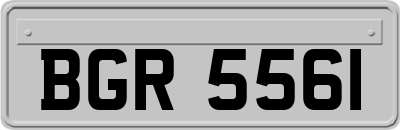 BGR5561