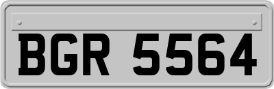 BGR5564