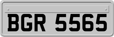 BGR5565