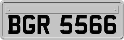 BGR5566