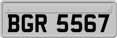 BGR5567