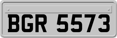 BGR5573