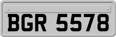 BGR5578