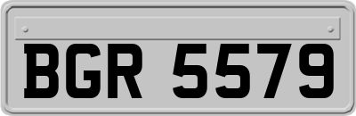 BGR5579