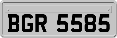BGR5585