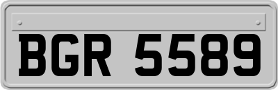BGR5589