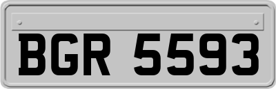 BGR5593