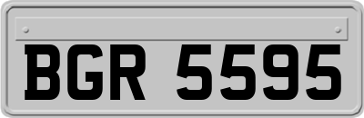 BGR5595