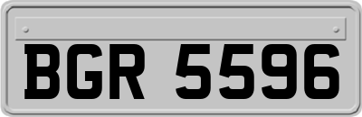 BGR5596