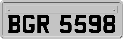 BGR5598