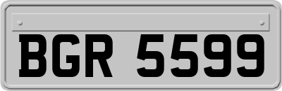 BGR5599