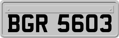 BGR5603
