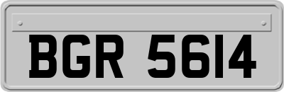 BGR5614