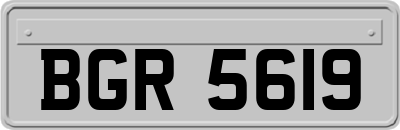 BGR5619