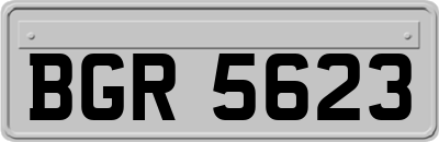BGR5623
