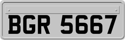 BGR5667