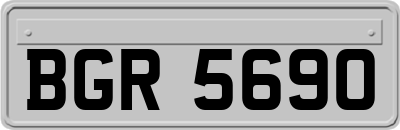 BGR5690