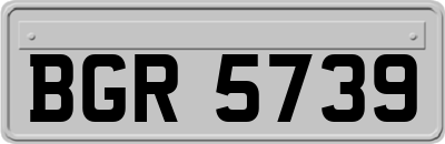 BGR5739