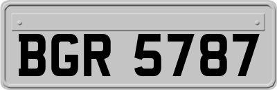 BGR5787