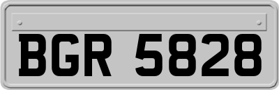 BGR5828