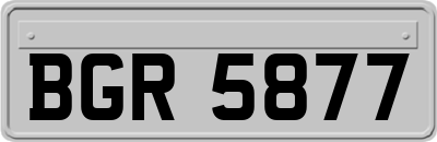 BGR5877