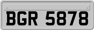 BGR5878