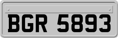 BGR5893