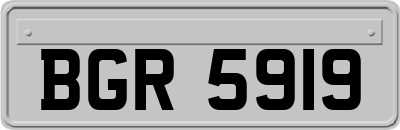 BGR5919