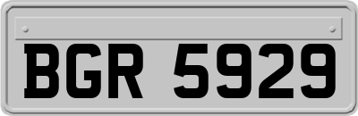 BGR5929