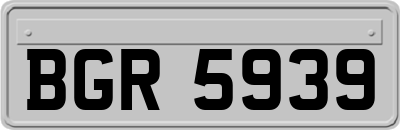 BGR5939