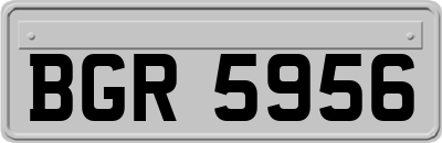 BGR5956