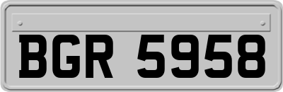 BGR5958