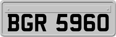BGR5960
