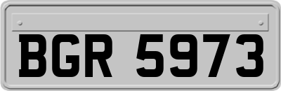 BGR5973