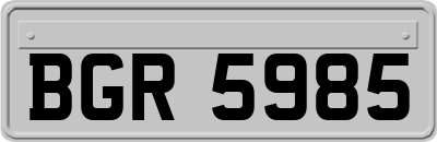BGR5985