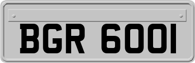BGR6001
