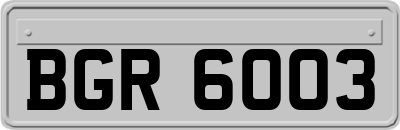 BGR6003